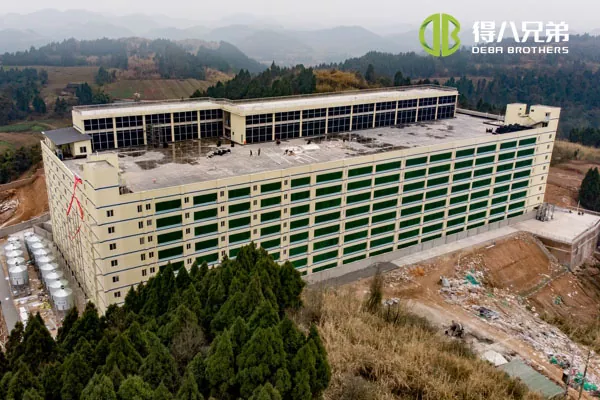 ãMulti Storey projectãSichuan Qiquan 그룹 10000 모돈 농장