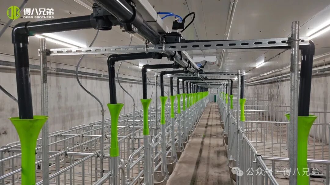 데바브라더 리차 흑돼지 사육 및 재배 실증기지 - 모돈 2,000두, 연간 도축 50,000두, 67,000㎡ 통합운영