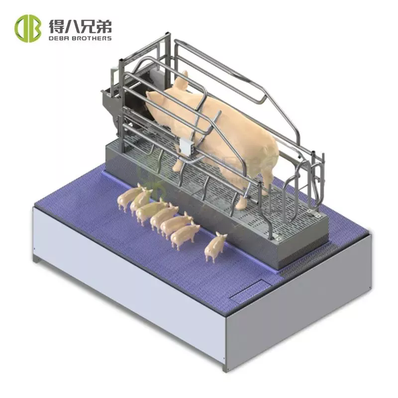 정확한 급이로 수유 촉진 및 과학적인 관리로 튼튼한 새끼 돼지 육성 — Debabrother, 수유 중인 암퇘지의 효율적인 사육 지원