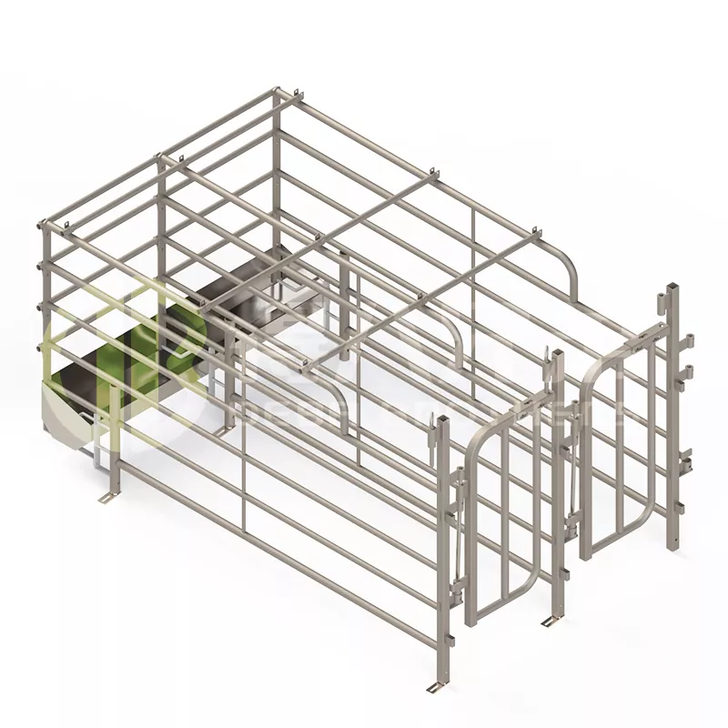 더 넓어진 스페인어 자유 이용 돼지 가판대